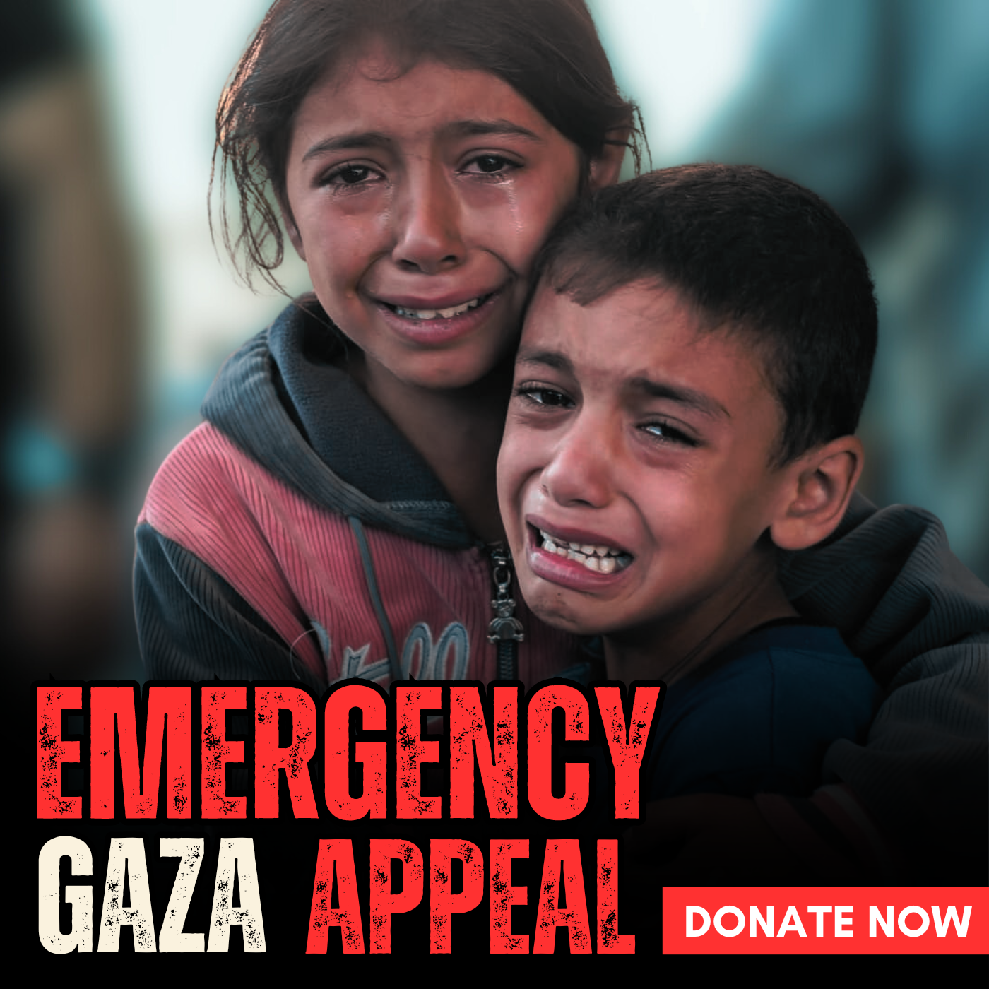 Emergency Gaza Appeal